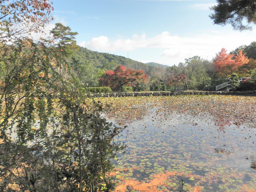 Maple Inagawa Hotell Kawabe  Eksteriør bilde