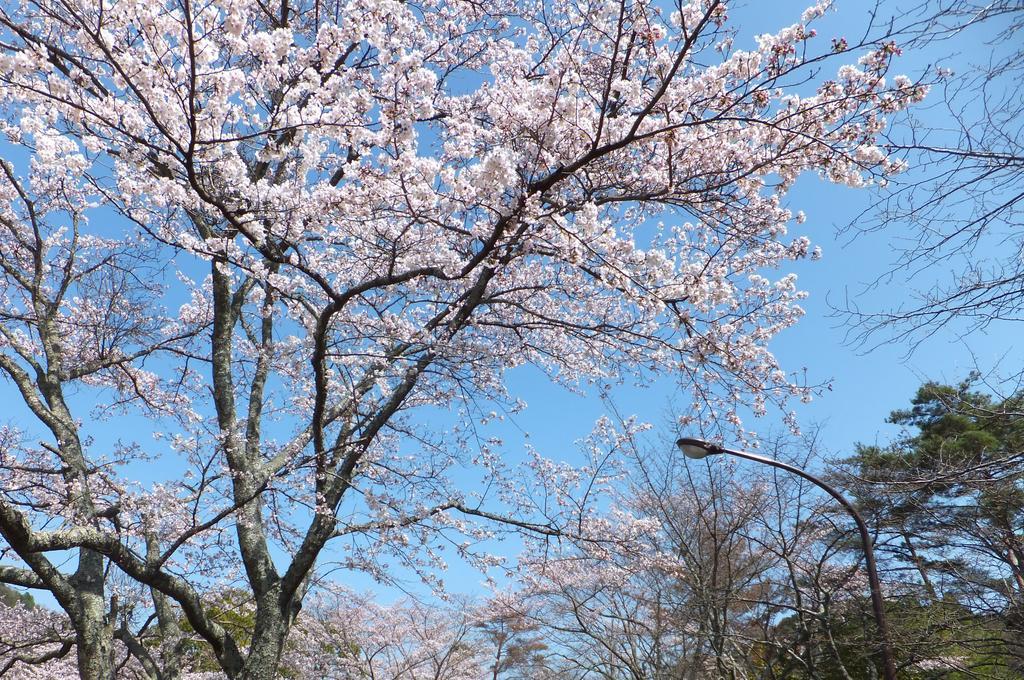 Maple Inagawa Hotell Kawabe  Eksteriør bilde